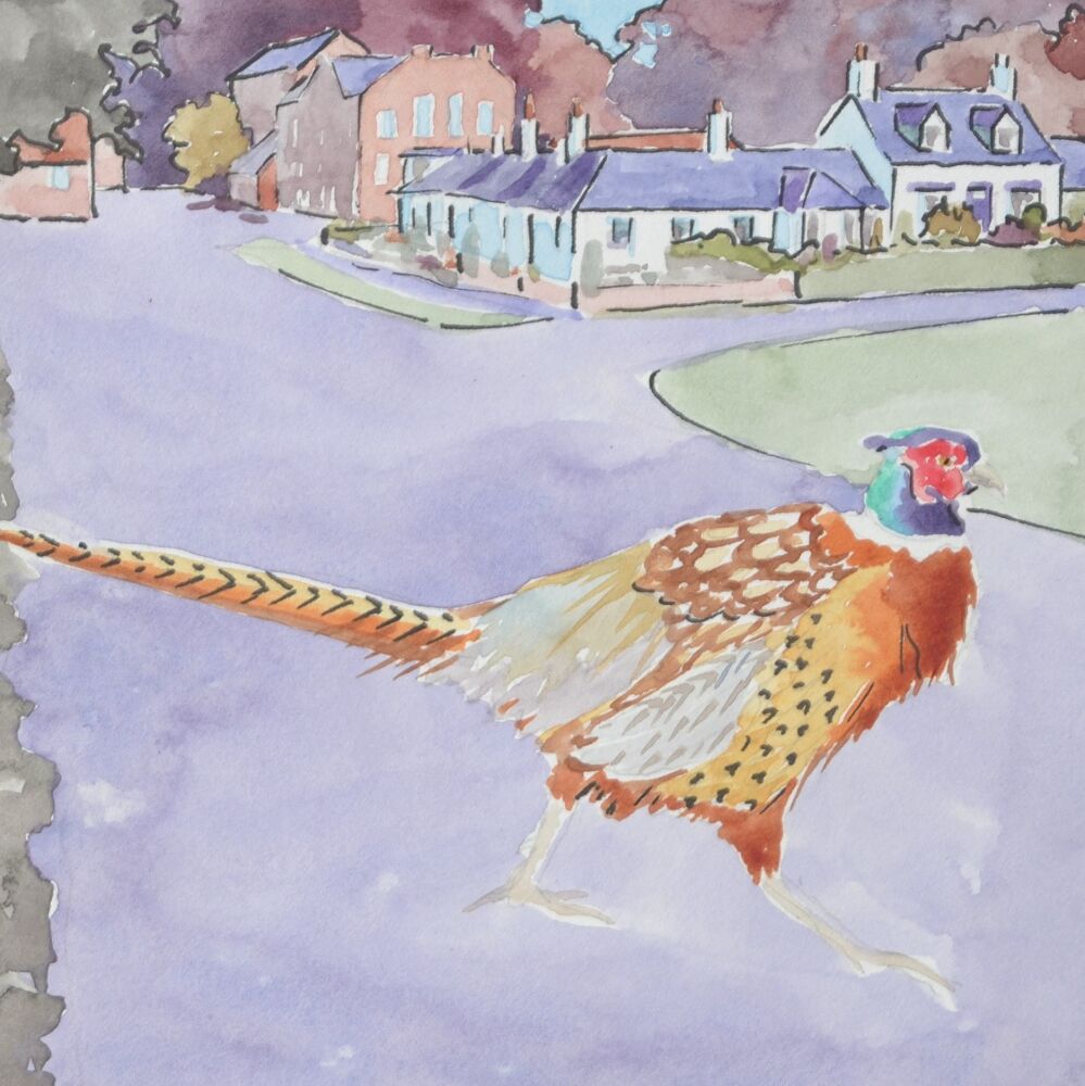 ink and watercolour of a pheasant in a village