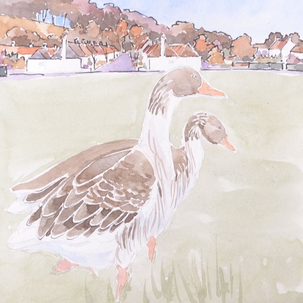 ink and watercolour of a pair of greylag geese in a village