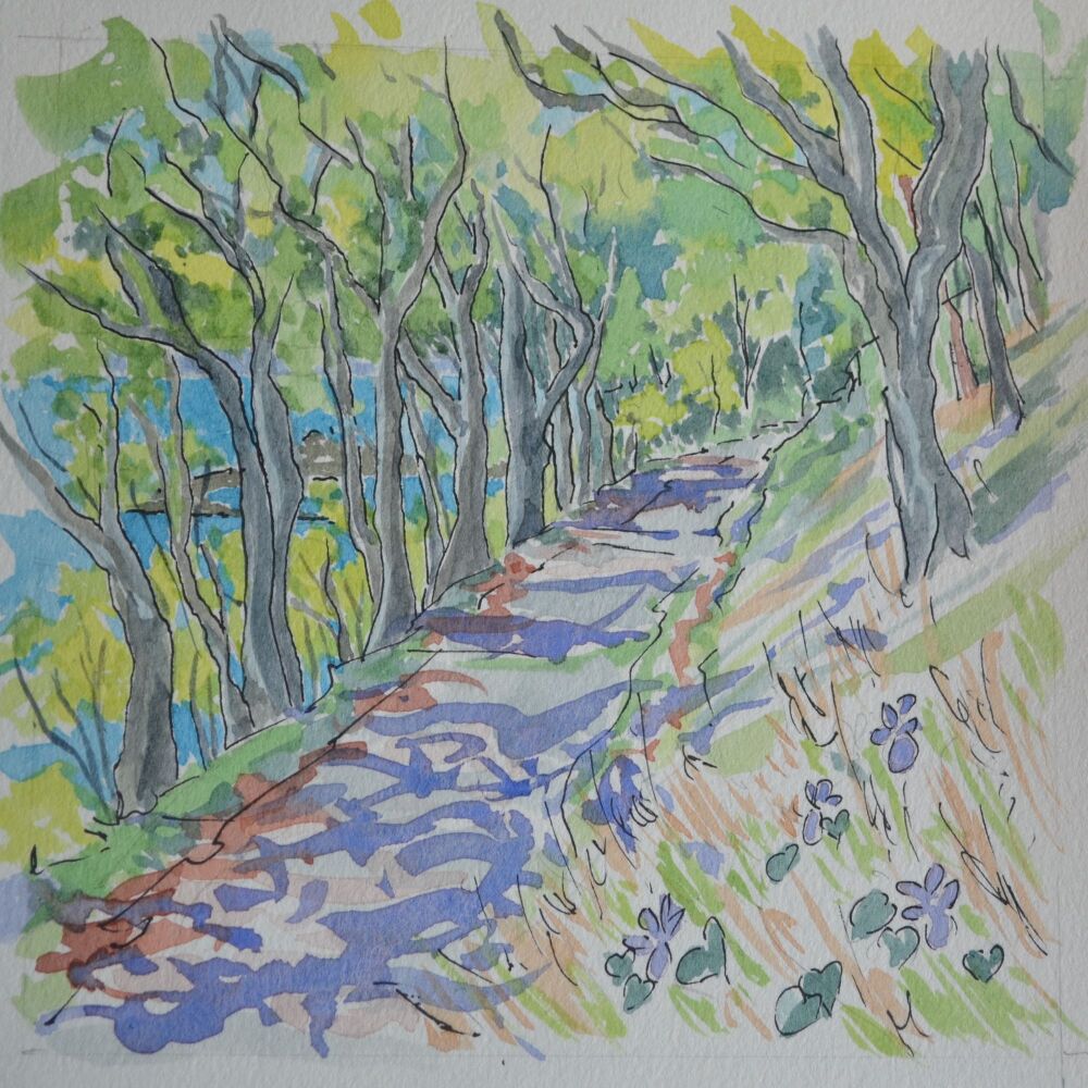 ink and watercolour of a path through  a beech wood in spring