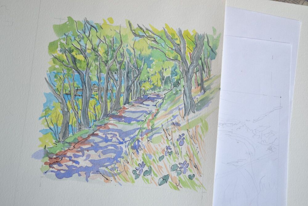 Early Dog Violet, Broomhall