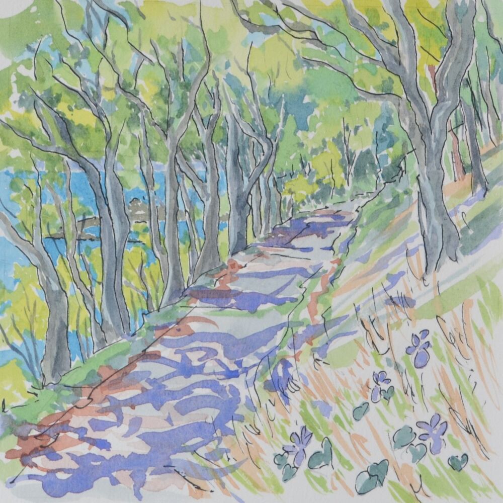 Early Dog Violet, Broomhall