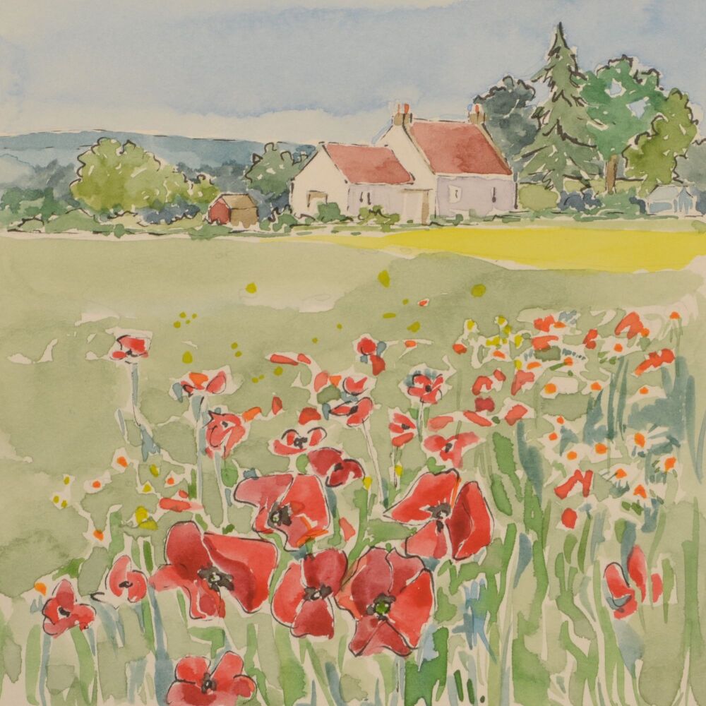 Poppies, Fiddlershall