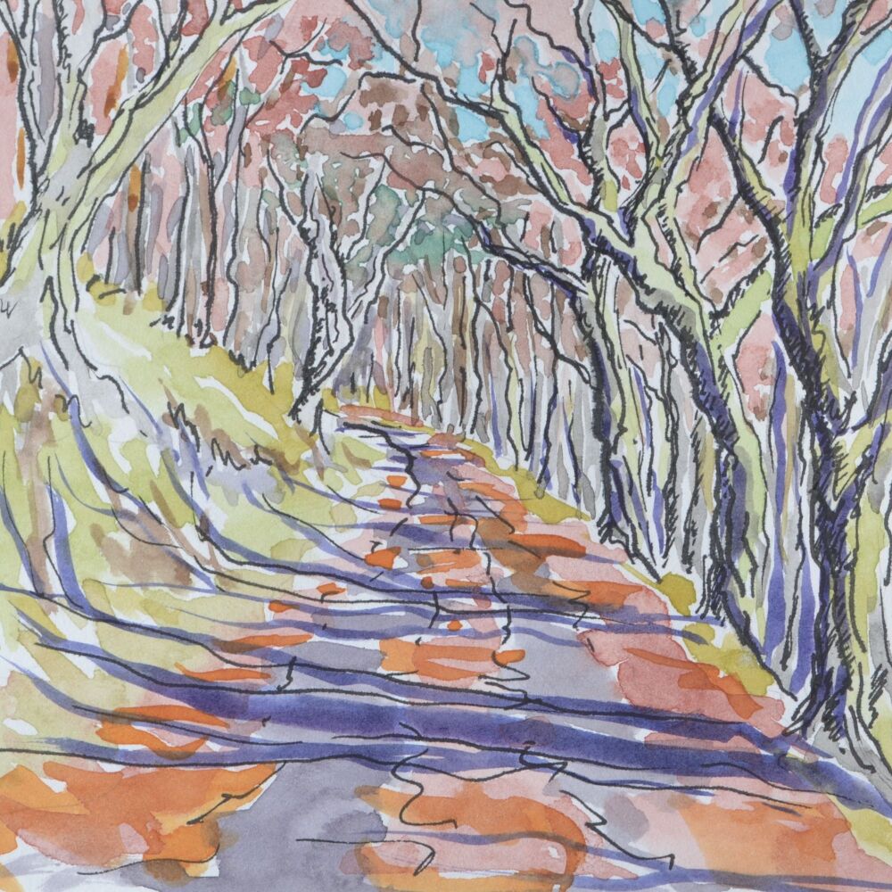 A Daily Walk (is good for the soul)