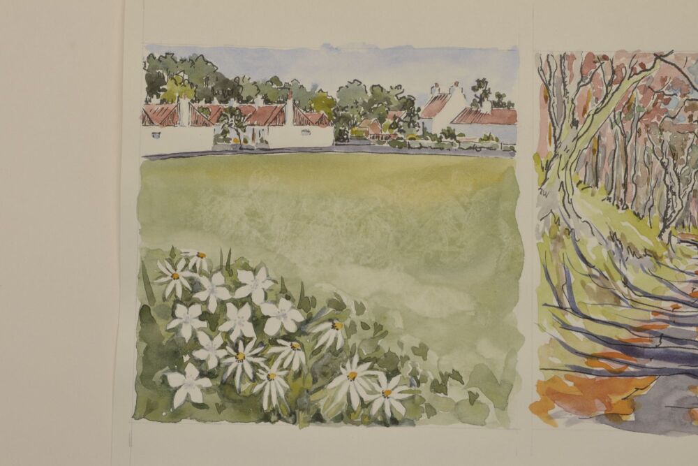 ink and watercolour of whitewashed cottages, grass and white flowers