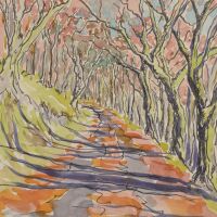 path through beech trees on sunny autumn day