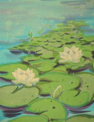 Waterlilies