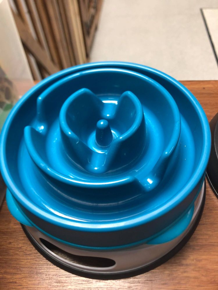 Slow Feeder Bowl - Blue