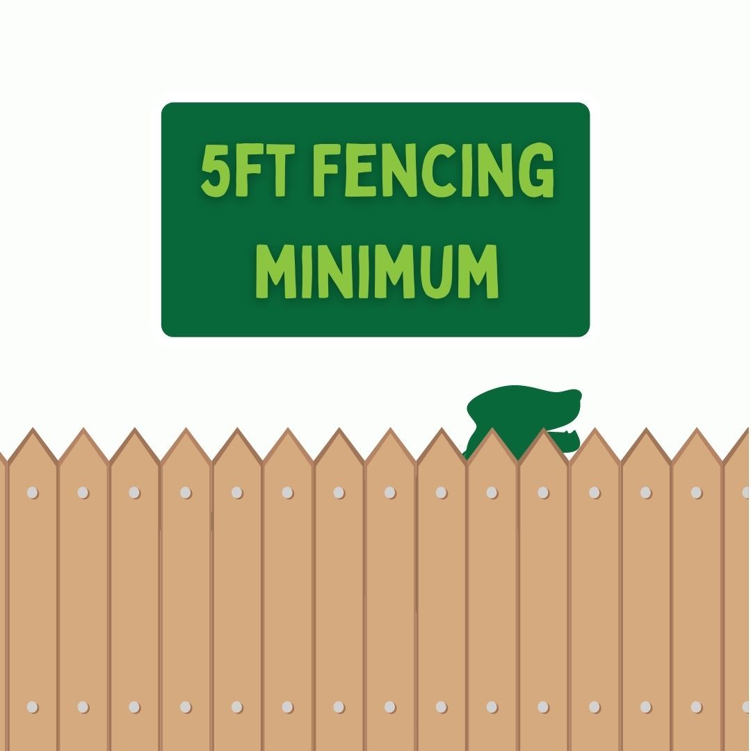 fencing assessment (4)