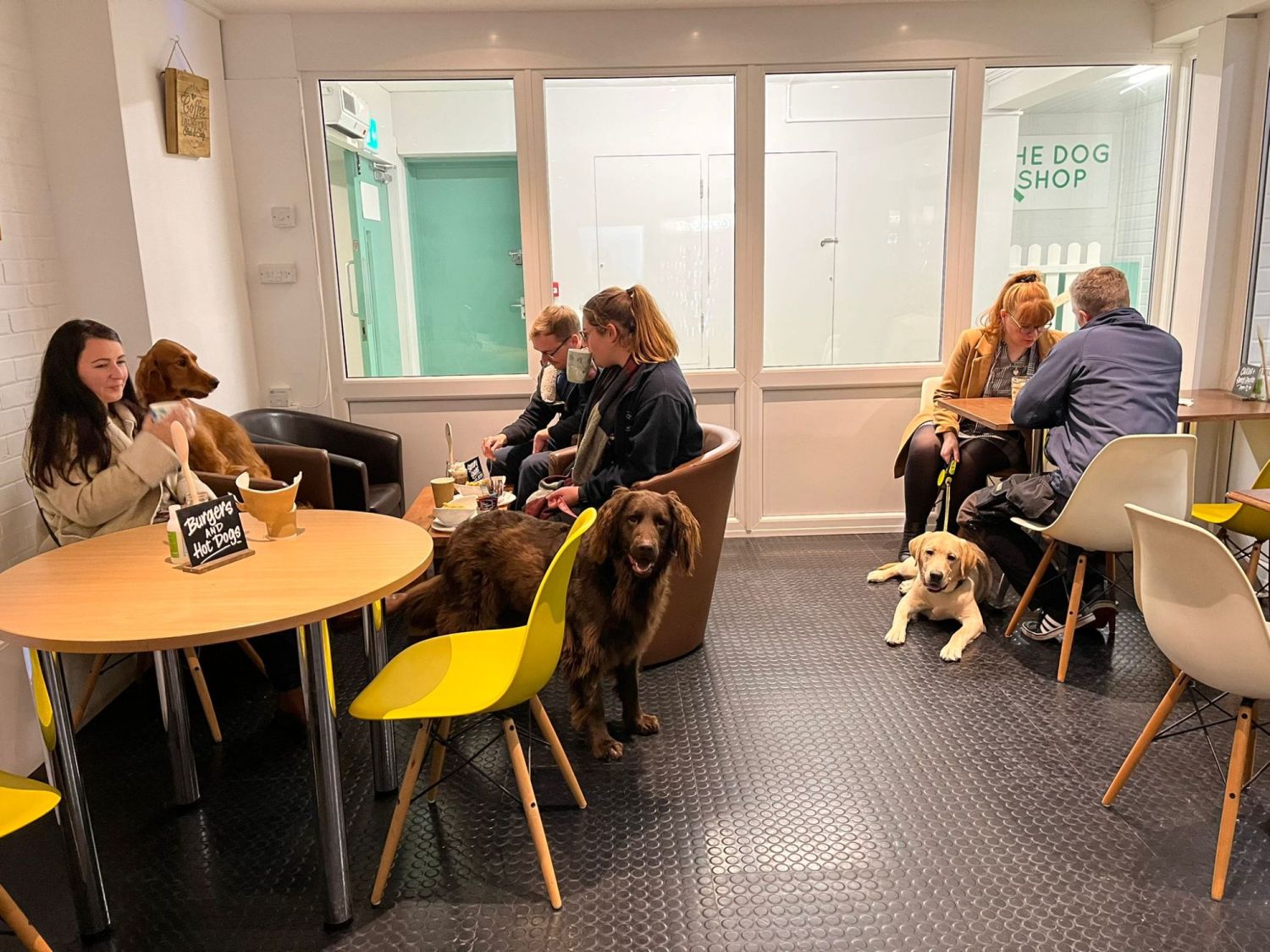 The Dog Hub