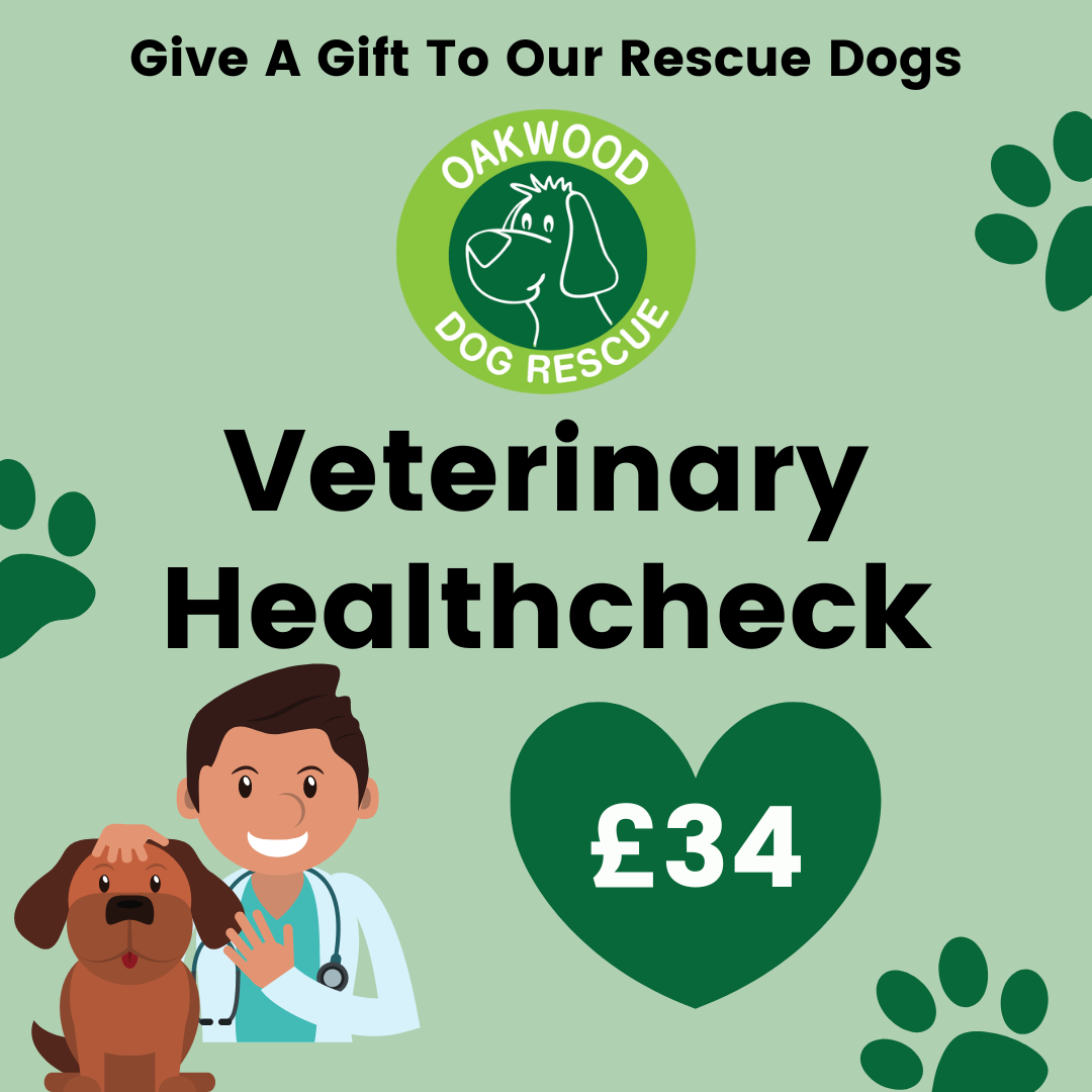 Pay for a Veterinary Health Check for a Rescue Dog