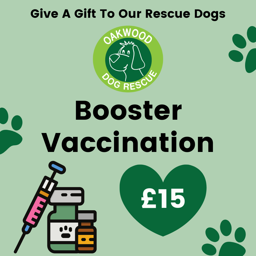 Pay for Booster Vaccinations for a Rescue Dog