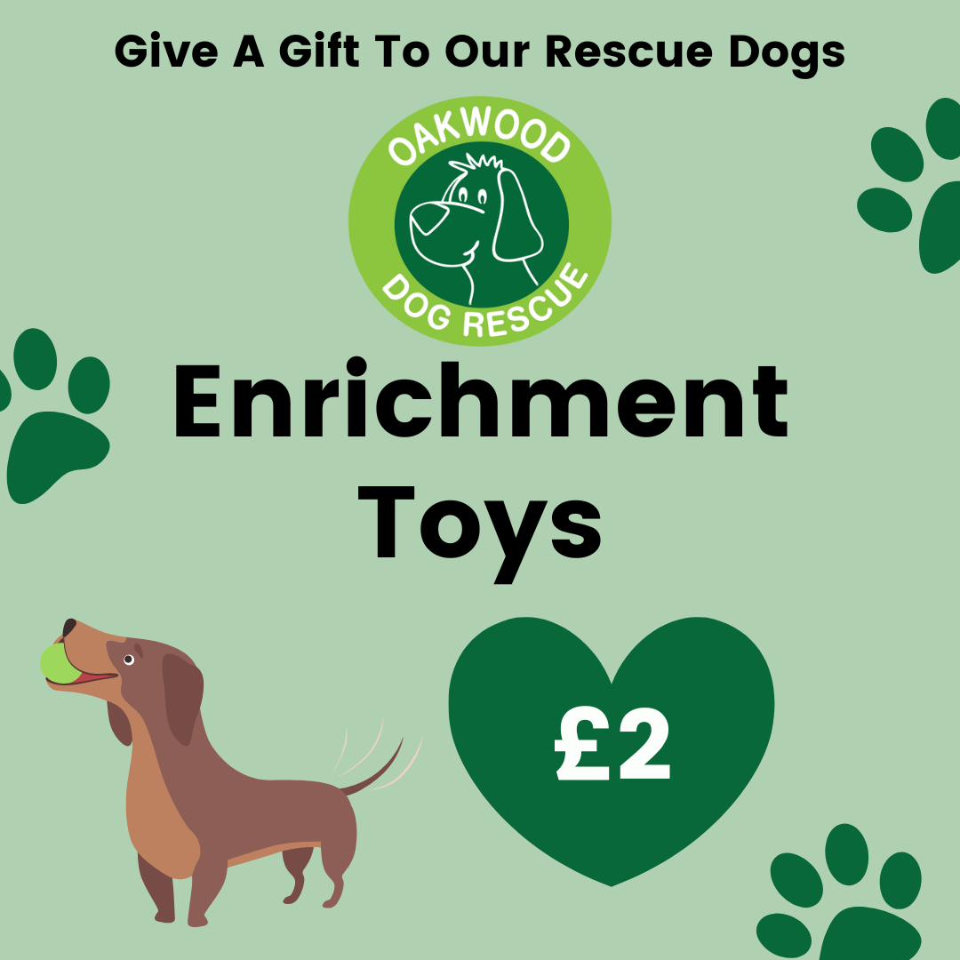 Pay for Enrichment Toys for a Rescue Dog