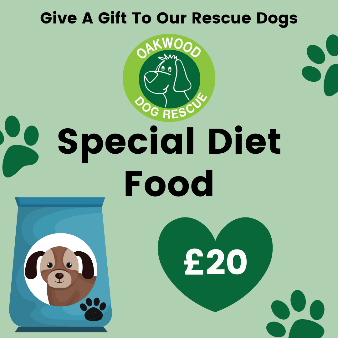 Pay for Special Diet Food for a Rescue Dog