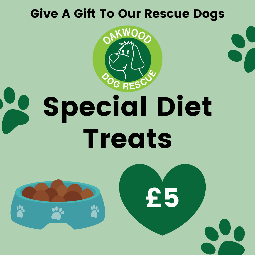 Pay for Special Diet Treats for a Rescue Dog
