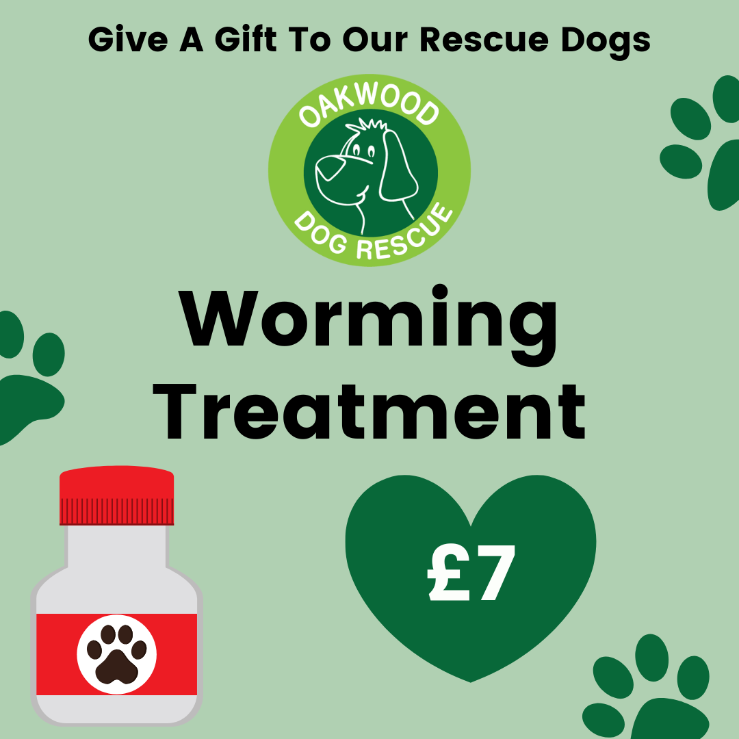 Pay for Worming Treatment for a Rescue Dog
