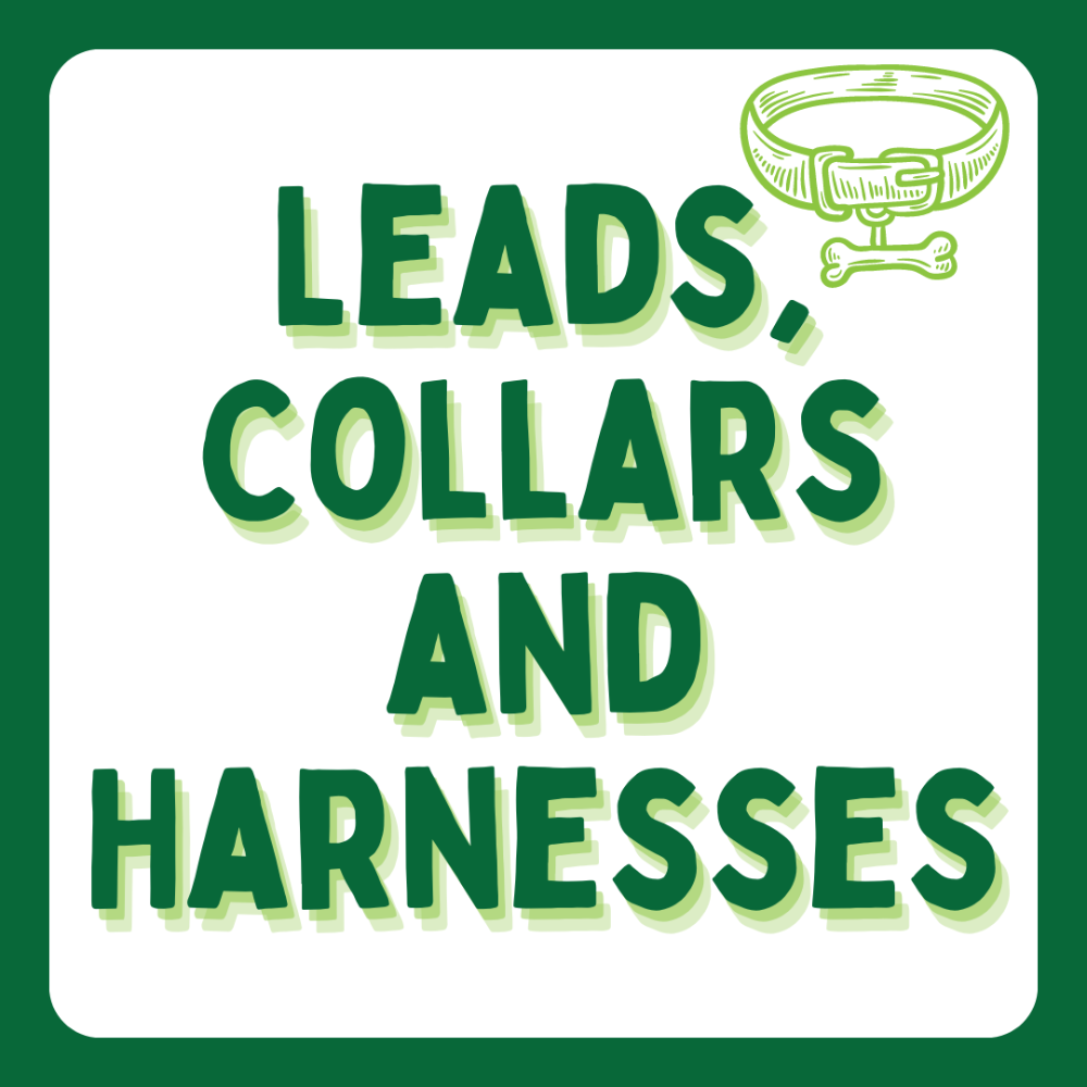 Leads, Collars and Harnesses