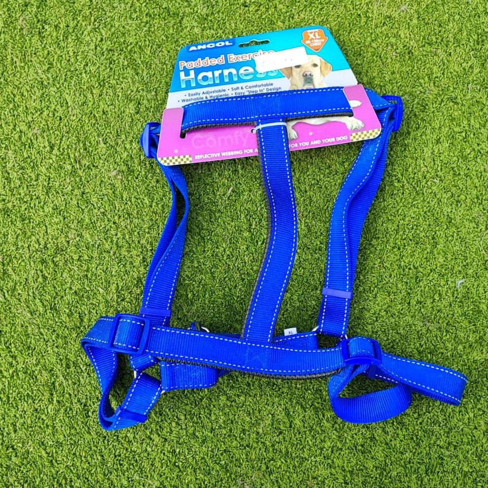 Ancol Padded Exercise Harness - XL Blue (88-120cm Chest)