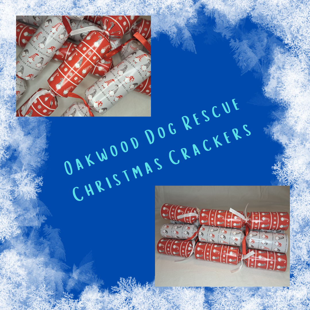 *PRE-ORDER* Christmas Cracker  - Gonk Design Set of 6