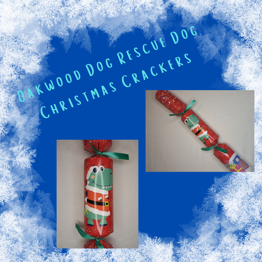 Dog Christmas Cracker