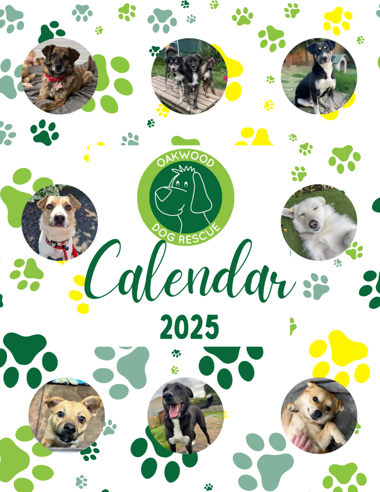 Oakwood 2025 Calendar