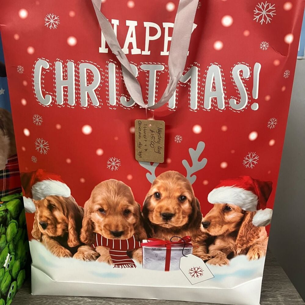 Large Mystery Christmas bag