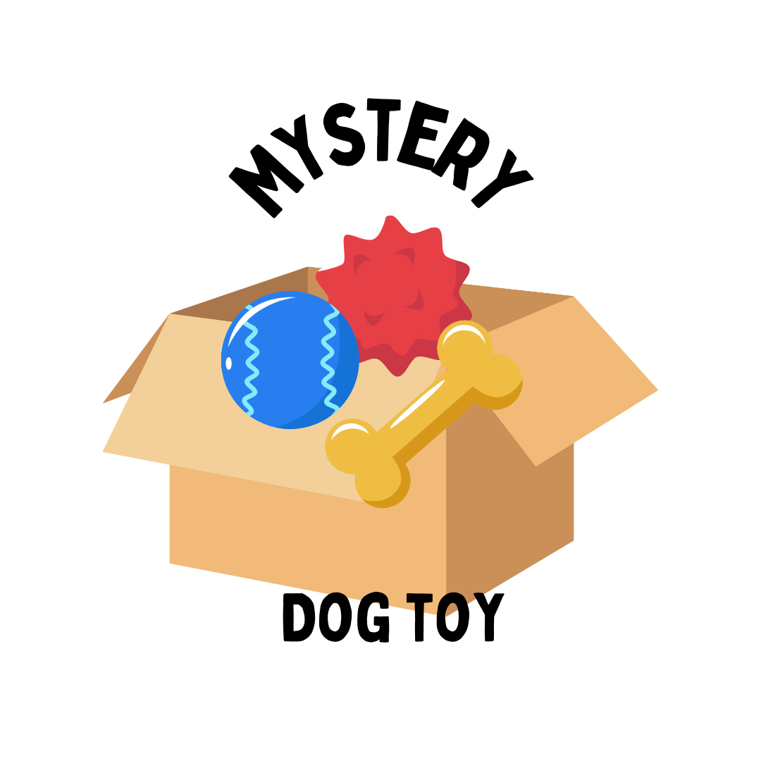 Mystery Christmas Toy