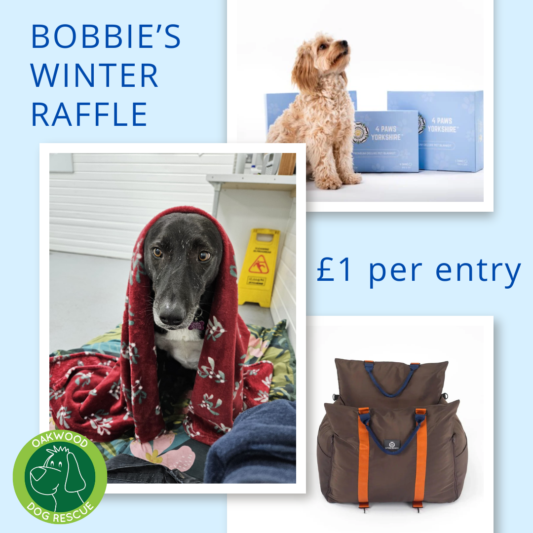 Bobbie's Winter Raffle!