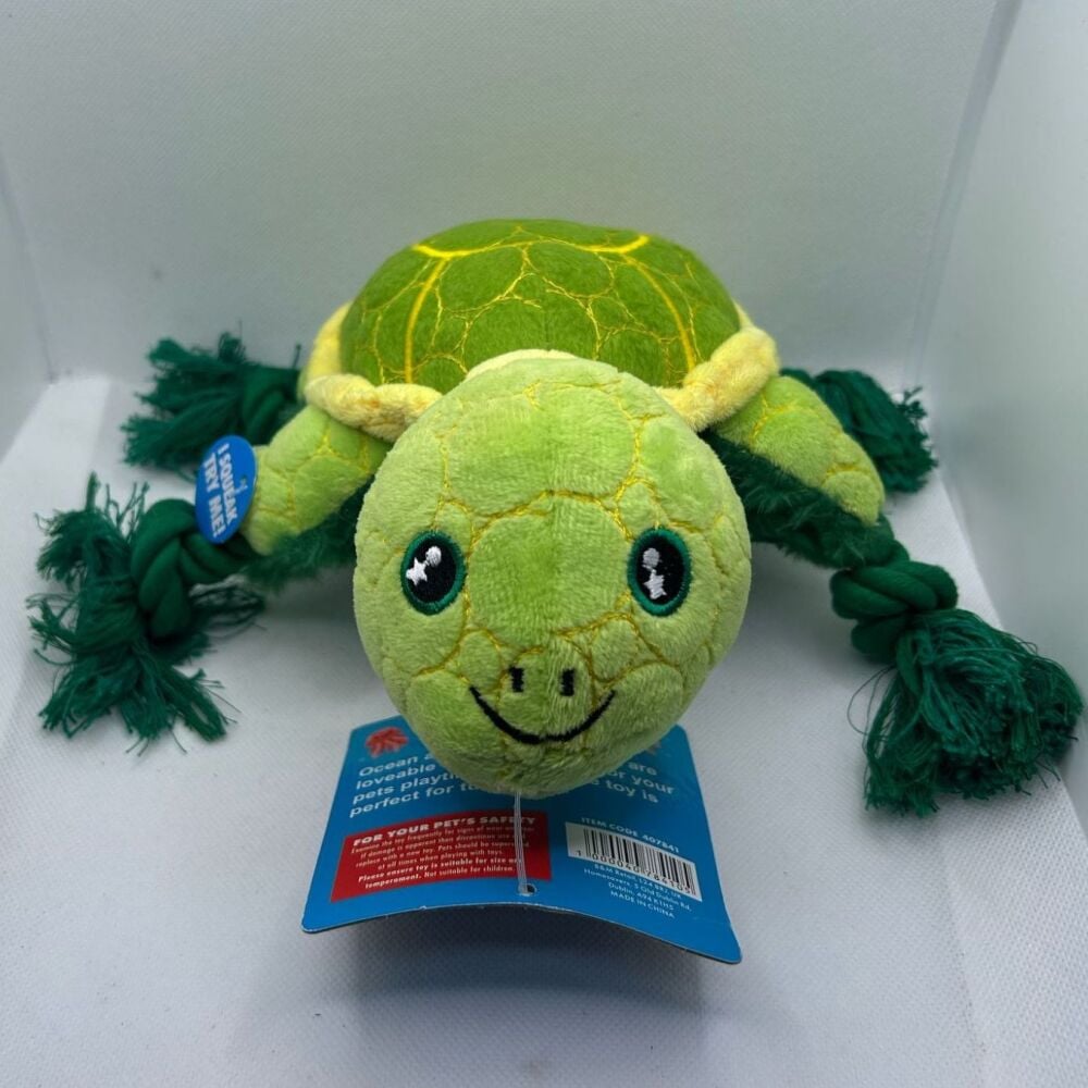 Tough Turtle Toy