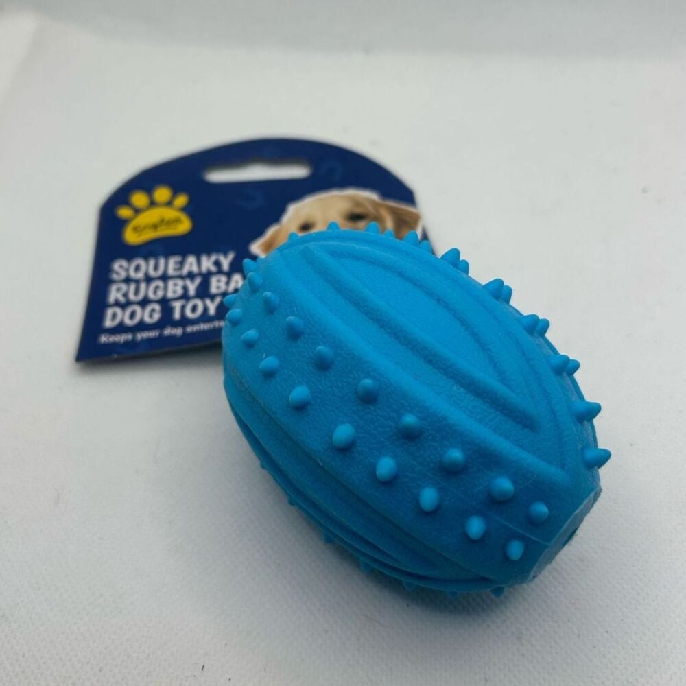 Squeaky Rugby Ball Dog Toy