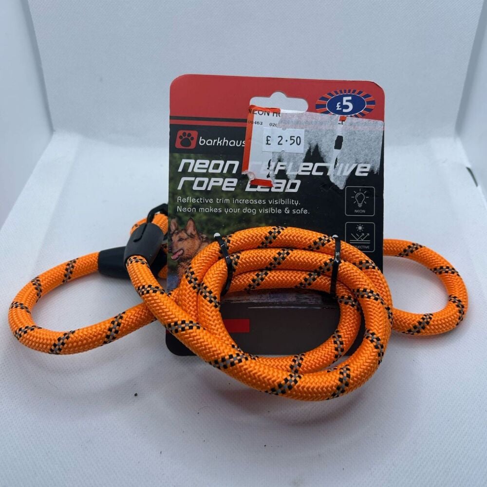 Neon Reflective Rope Lead Orange