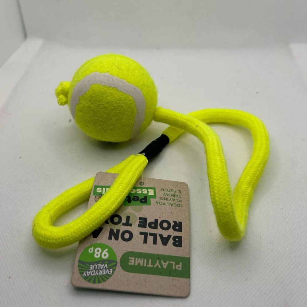 Ball on a Rope Toy