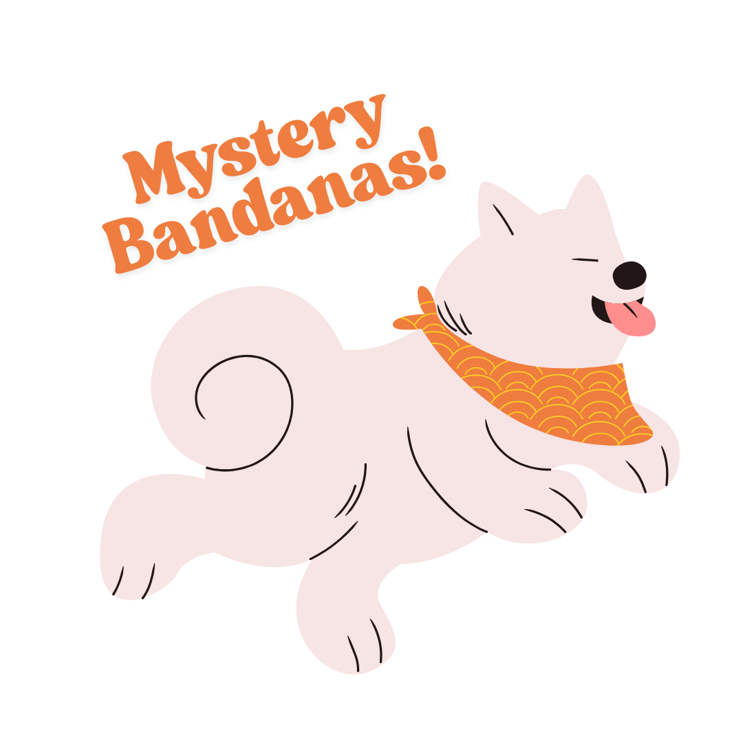 Assorted Mystery Bandanas
