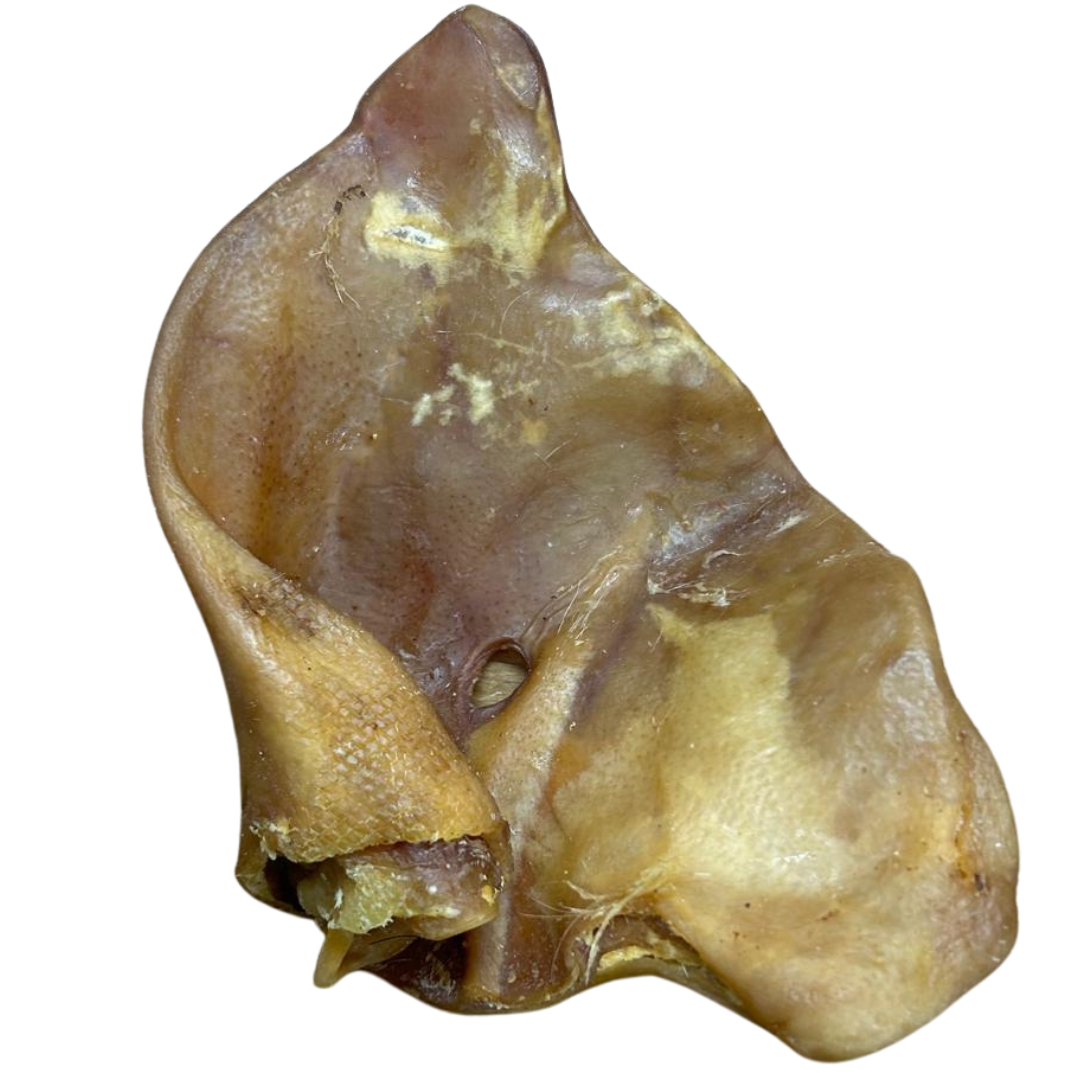 Pig Ear