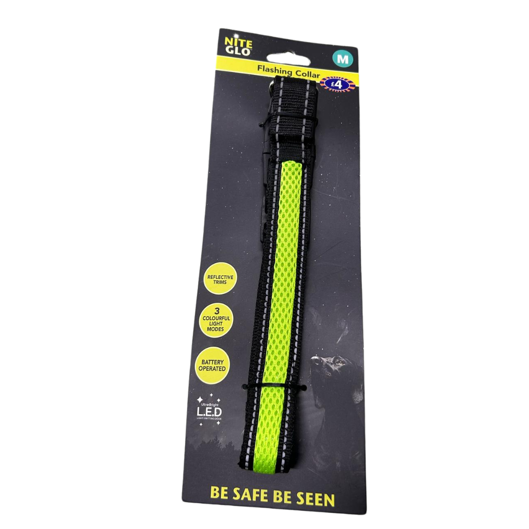 Nite Glo Flashing Collar M 40-48cm