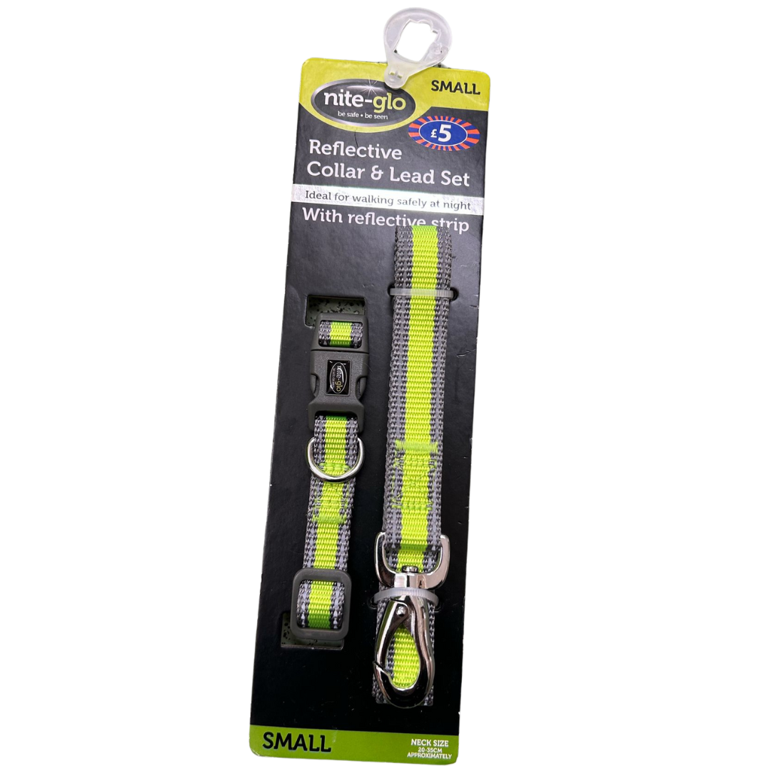 Nite Glo Reflective Collar and Lead Set - Small