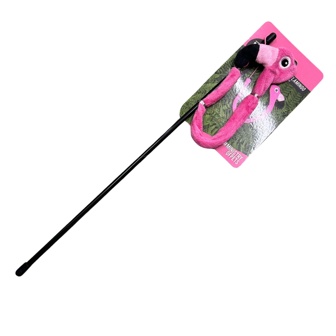 Ministry of Pets Frankie the Flamingo Teaser