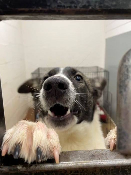 Walter 4.jpeg