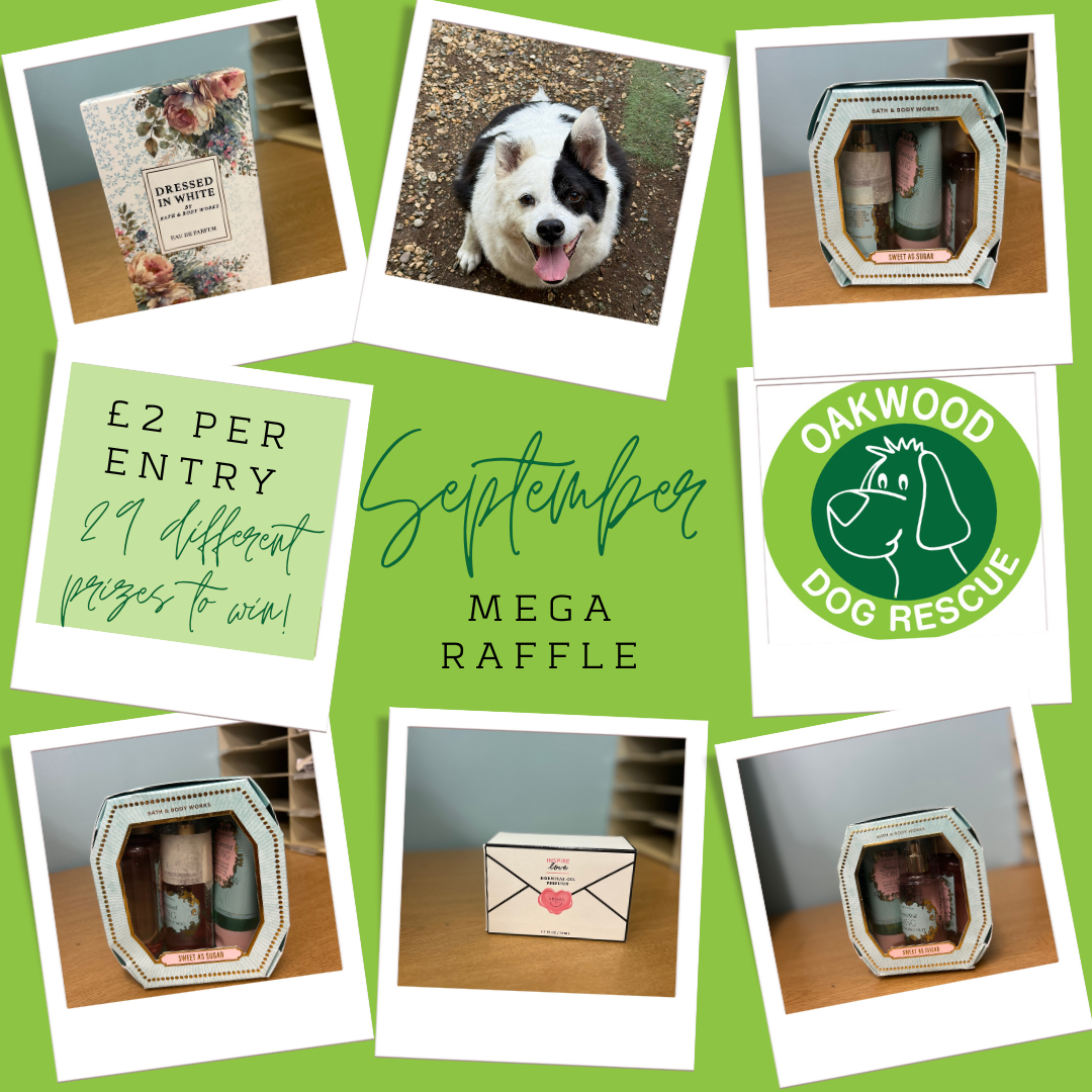 September Mega Raffle!