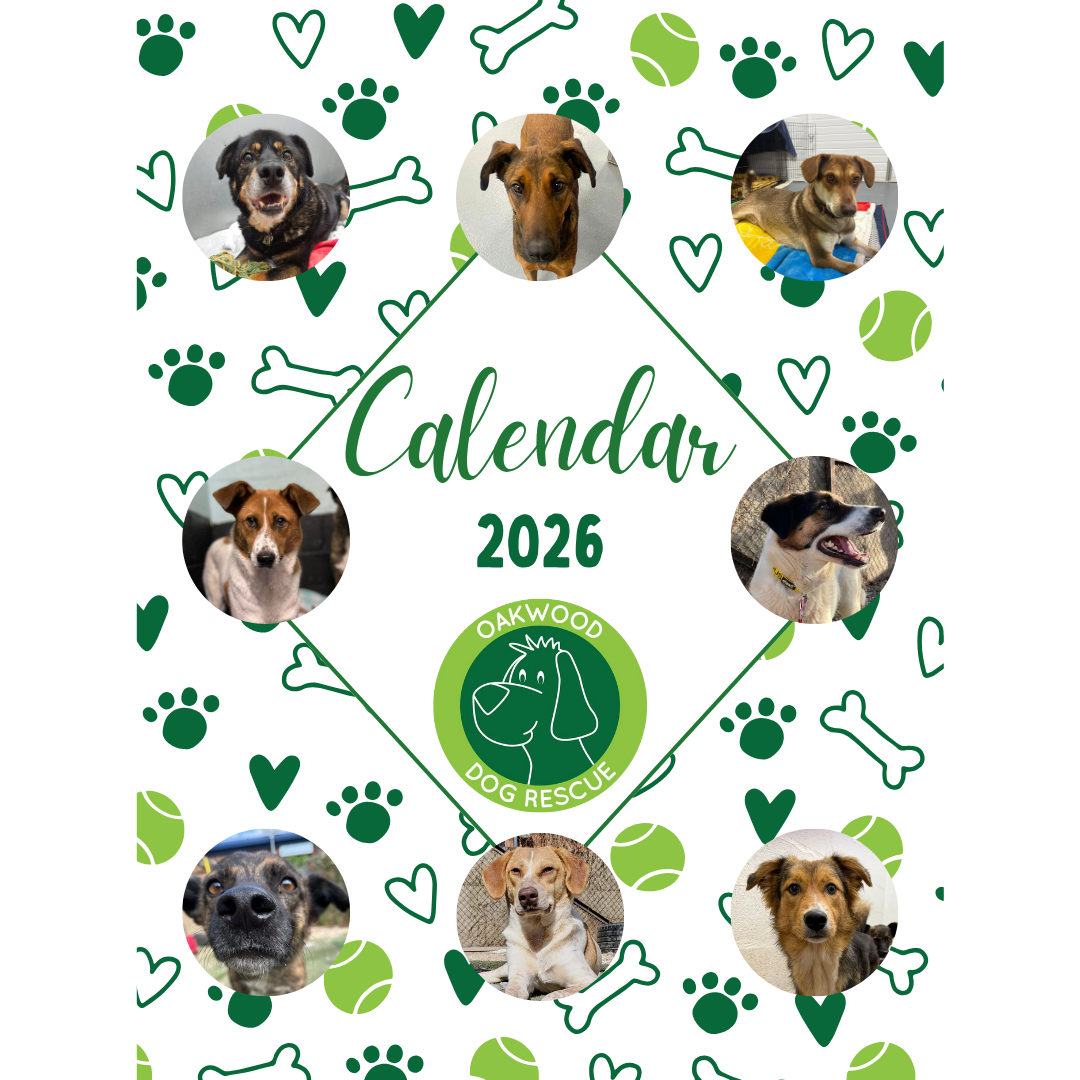 Oakwood 2026 Calendar - PRE ORDER!