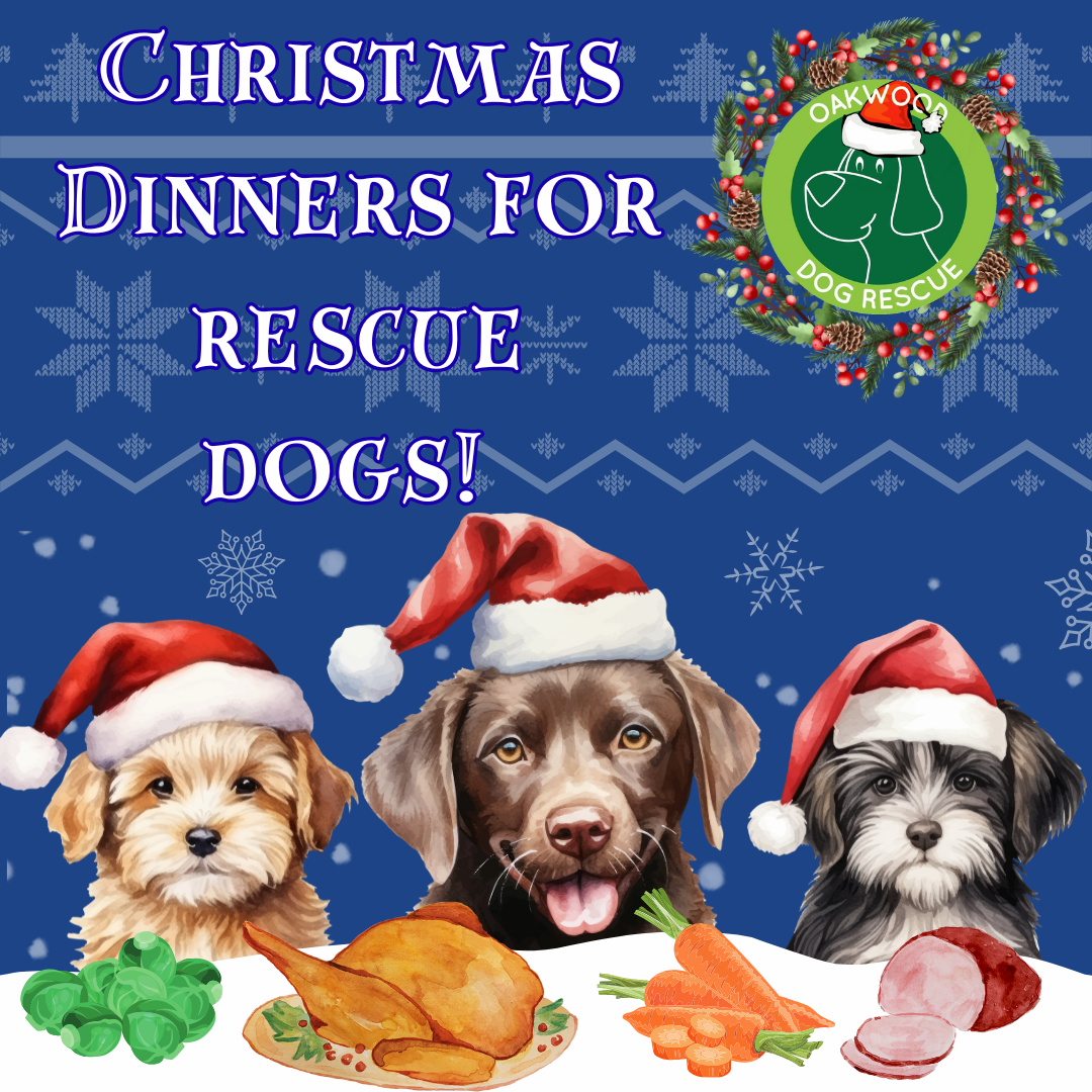 Buy a Christmas Dinner for a Rescue Dog