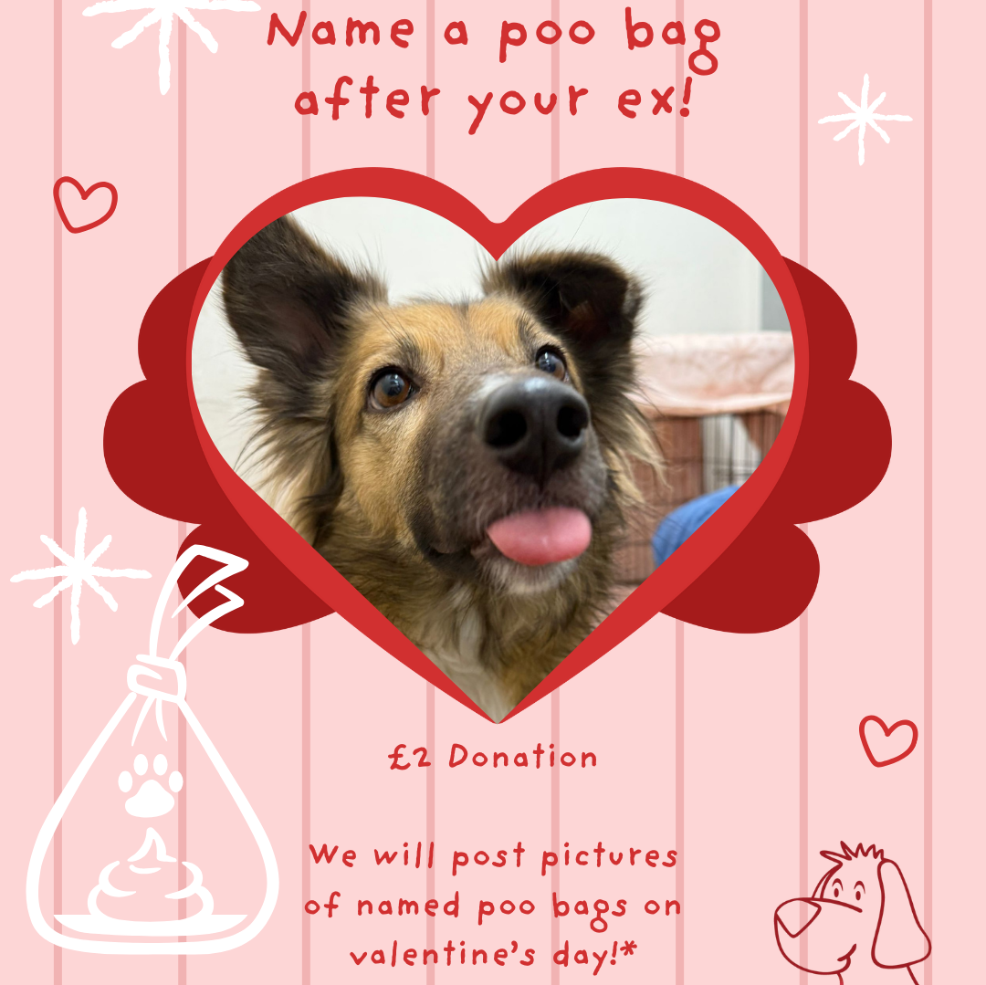 Name a Poo Bag after your Ex! - &pound;2 Donation