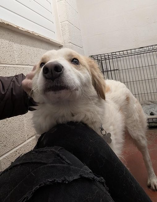 Millie 2.jpeg