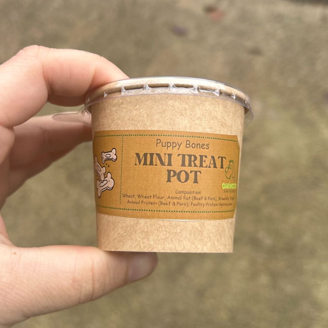 Mini Treat Pot - Puppy Bones