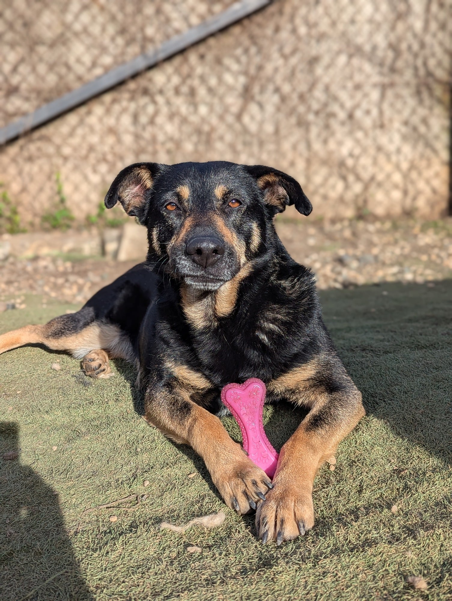 30aefd11-14bb-4863-a491-416b5d179eab-1_all_46