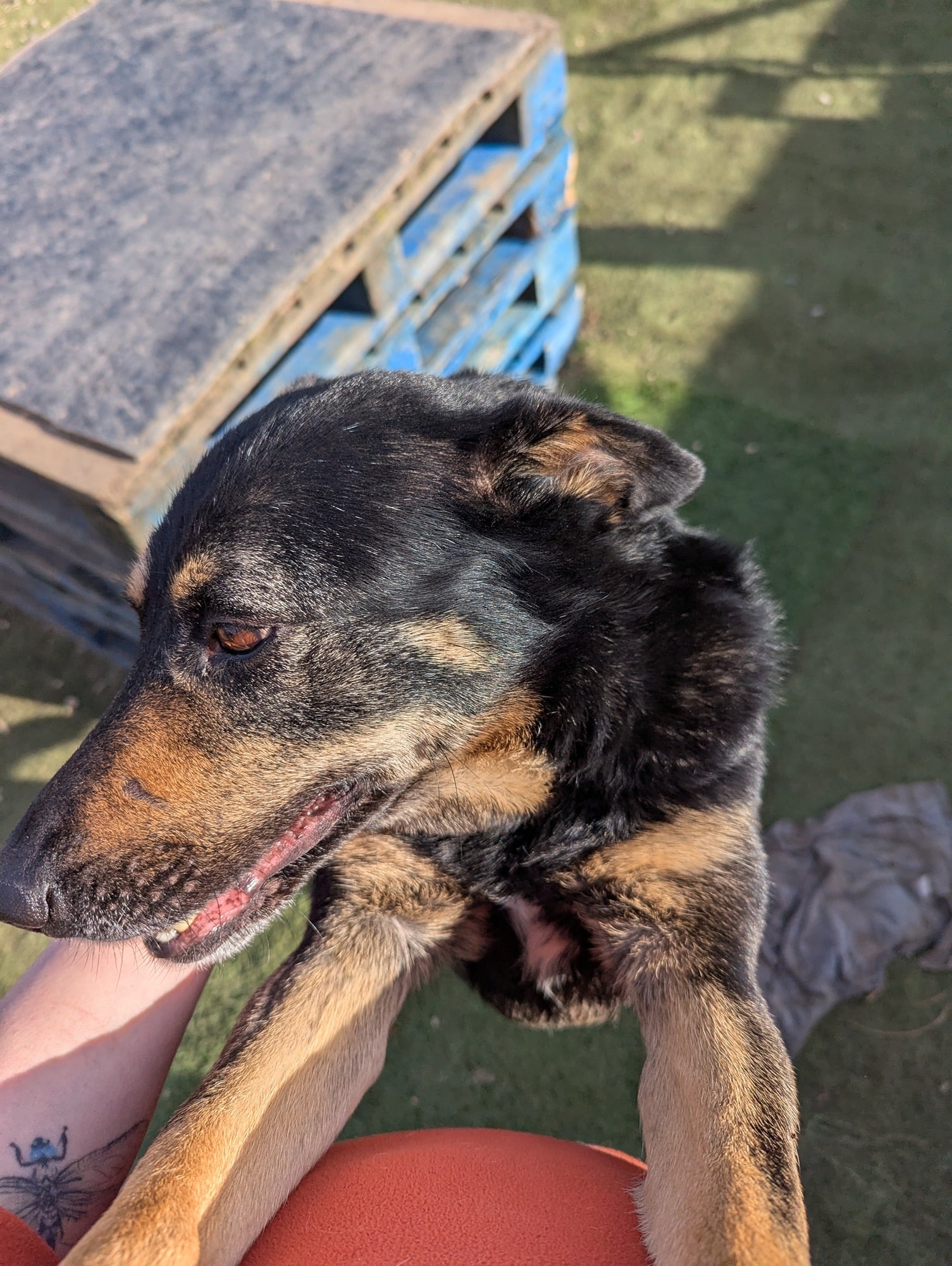 30aefd11-14bb-4863-a491-416b5d179eab-1_all_80