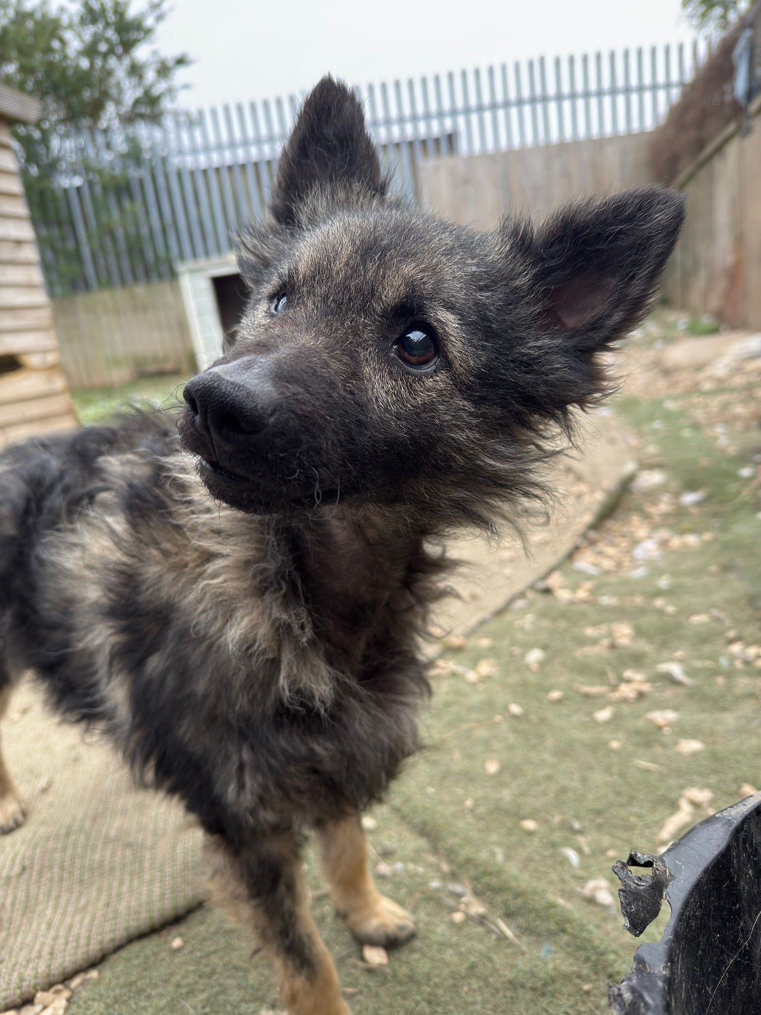 30aefd11-14bb-4863-a491-416b5d179eab-1_all_21960