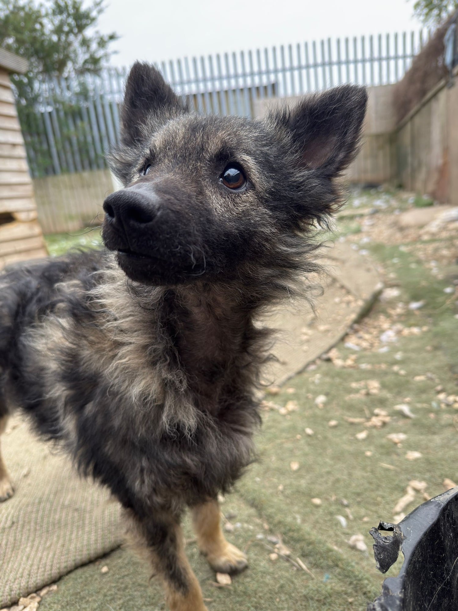 30aefd11-14bb-4863-a491-416b5d179eab-1_all_21959