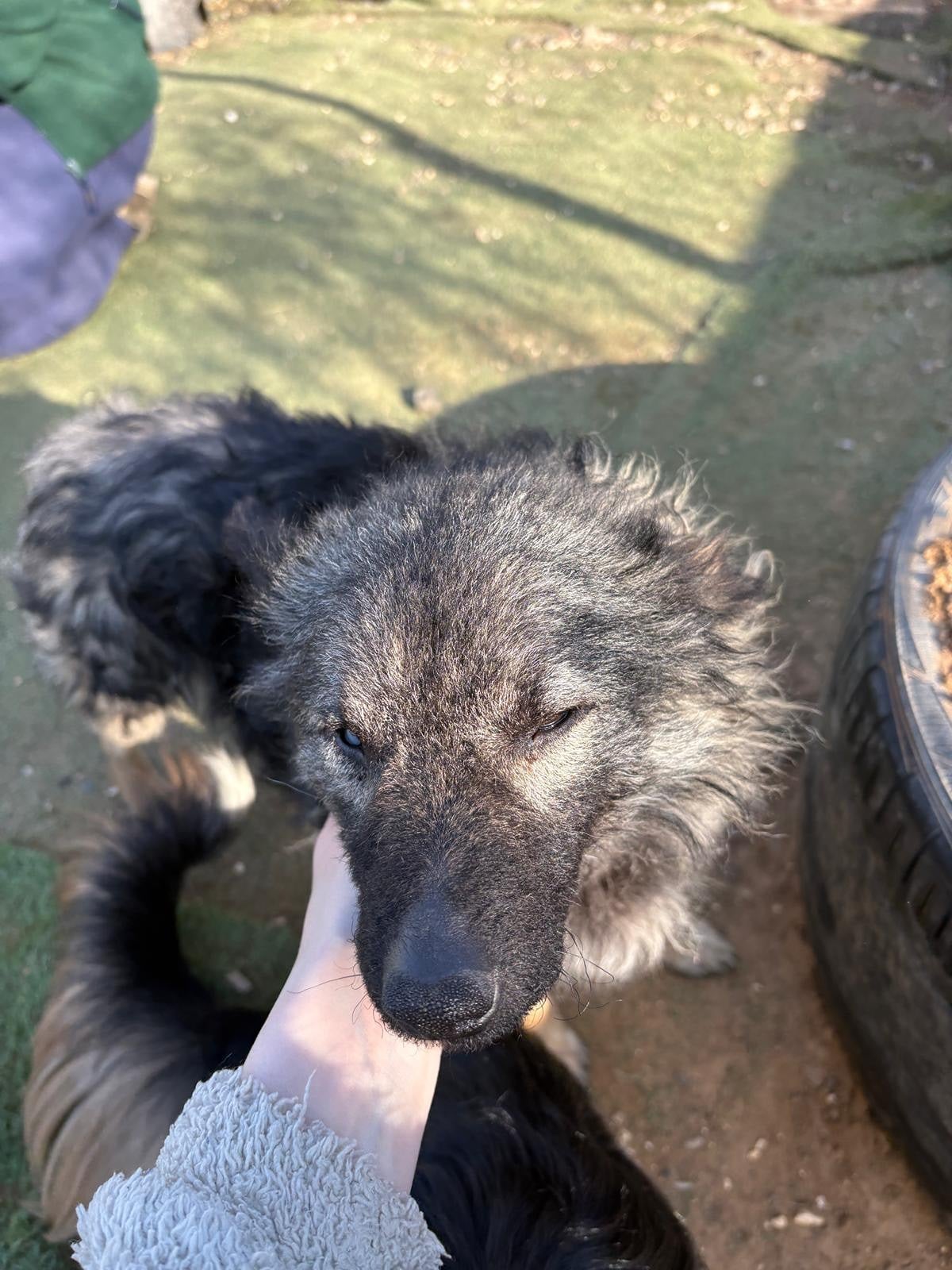 30aefd11-14bb-4863-a491-416b5d179eab-1_all_21944