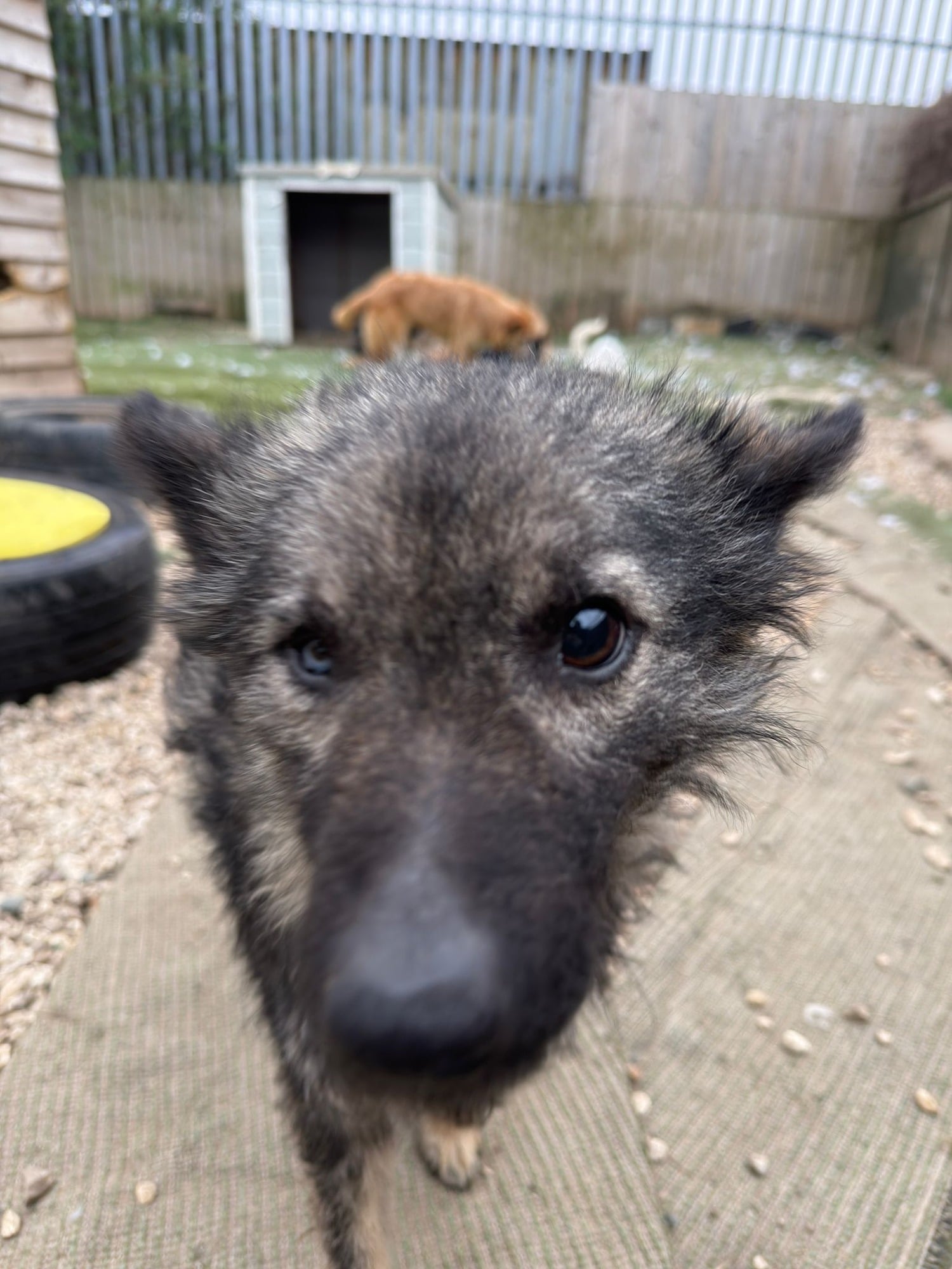 30aefd11-14bb-4863-a491-416b5d179eab-1_all_21956