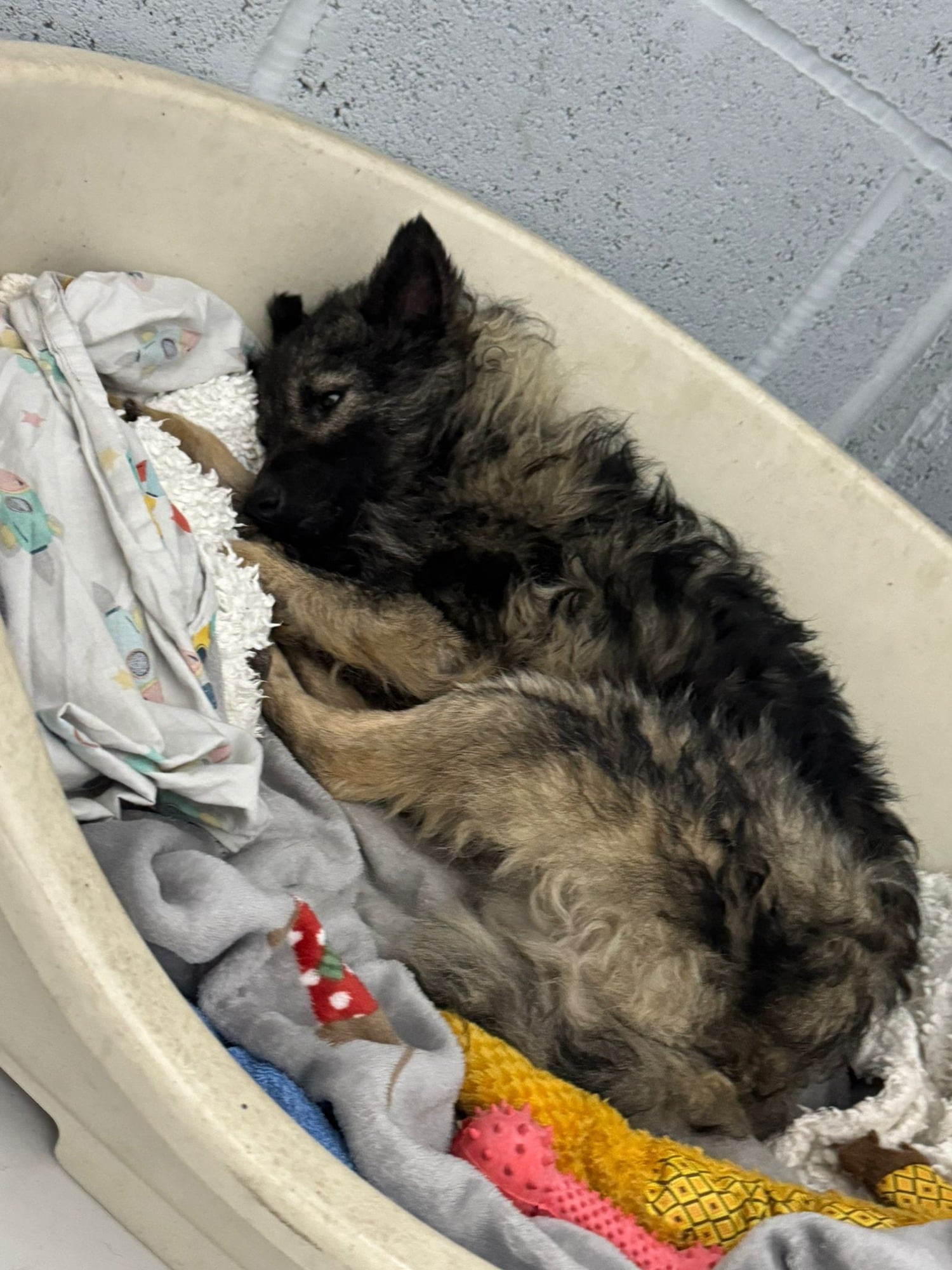 30aefd11-14bb-4863-a491-416b5d179eab-1_all_22176